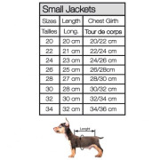 Milk & Pepper Manteau Kimi gris