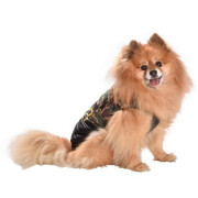 Manteau Norm camouflage