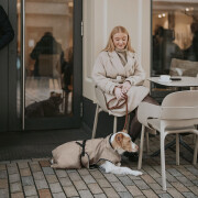 Manteau pour grand chien : Uppsala taupe
