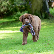 Corde double 3 noeuds 60 cm