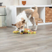 Corde pieuvre Denta Fun 44 cm