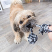 Corde avec balle Denta Fun 30 cm