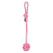Corde avec balle Denta Fun 30 cm