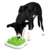 Gamelle anti glouton PET ENIGMA Large vert