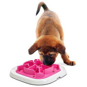 Gamelle anti-glouton Pet Enigma medium rose