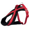 Harnais Premium rouge
