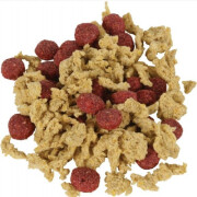 Friandises rongeur Crunchy Cup nature betterave