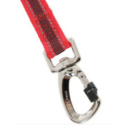 Laisse de jogging rouge