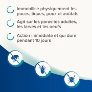 Lotion antiparasitaire anti-puces pour chat Diméthicare Beaphar