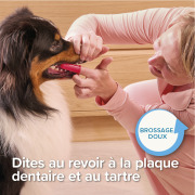 Beaphar Brosse à dents doigtier pour chien et chat