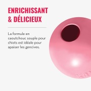 KONG Puppy Ball avec trou