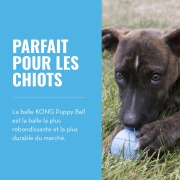 KONG Puppy Ball avec trou