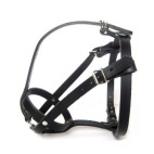 Muselière Bouledogue français