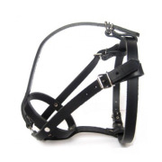 Muselière pour bouledogue français femelle