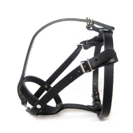 Muselière pour bouledogue français femelle