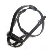 Muselière bouledogue français femelle