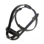 Muselière pour bouledogue français femelle