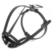 Muselière bouledogue français