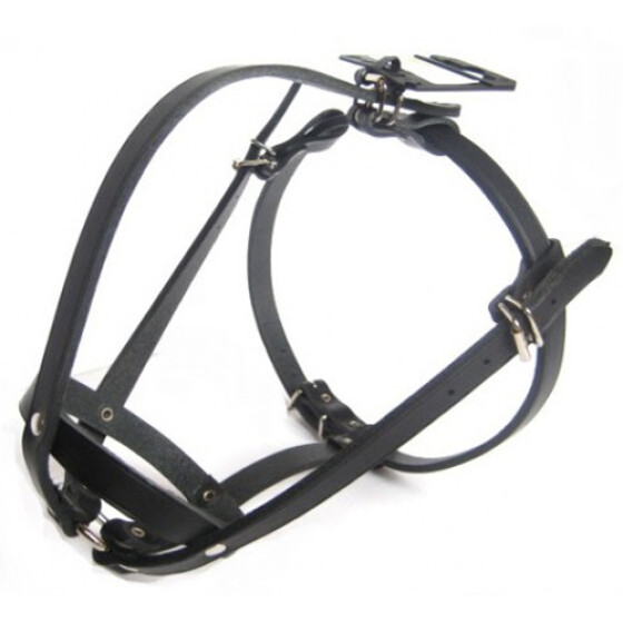 Muselière bouledogue français