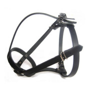 Muselière bouledogue français