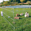 Enclos lapin métal XL avec toit