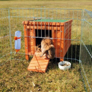 Cabane lapin et cochon d'Inde en pin Natura