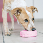 Jouet pour chiot KONG Puppy Tires