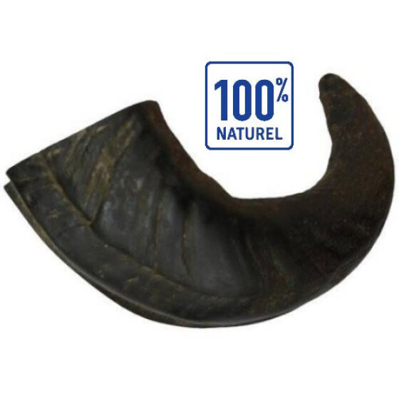 Corne de Buffle chien médium