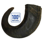 Corne de Buffle gros chien