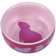 Gamelle pour cochon d'Inde en céramique color