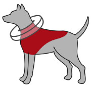 Collerette, bouée chien de protection