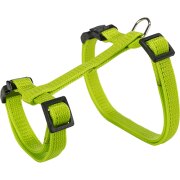 Harnais lapin avec laisse