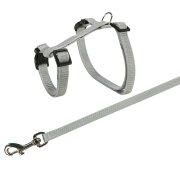 Harnais lapin avec laisse