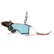 Harnais Soft pour rat avec laisse