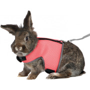 Harnais Soft pour lapin nain avec laisse