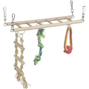 Pont suspendu petit rongeur avec échelle