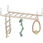 Pont suspendu rongeur avec échelle