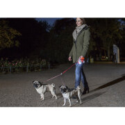 FLEXI Accouple Vario Duo Belt rouge