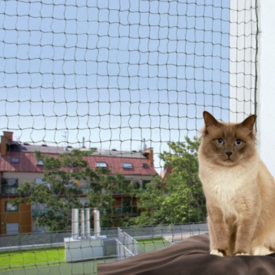Filet de protection renforcé pour chat
