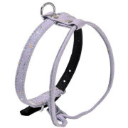 Harnais petit chien Cosmos gris