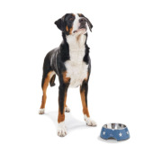 Gamelle Aarhus bleu Hunter