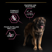 PRO PLAN Large Robust Adult OptiDerma au saumon 14 kg