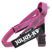 Harnais Julius IDC Belt Color Gray rose