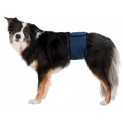 Couche pour chien mâle. bleu