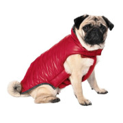 Manteau bouledogue français Indy rouge T.56