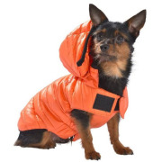 Manteau Studio orange