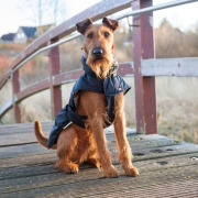 Manteau pour chien Explore noir