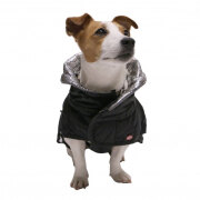 Manteau chien Explore noir