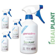 Parfum chien Idéalplant