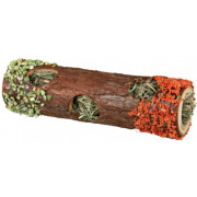 Tunnel rongeur avec foin, fleur d'hibiscus, carotte et pois